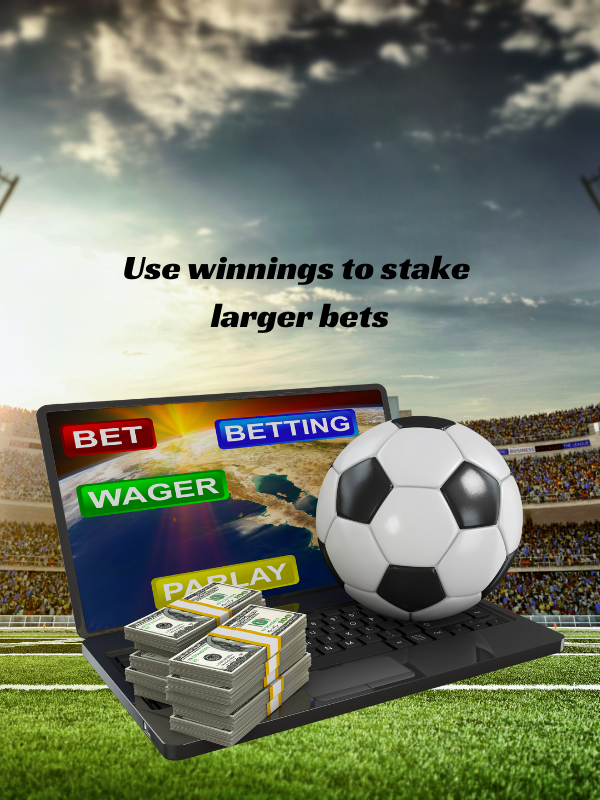 Use winnings to stake larger bets.